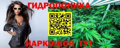 сатива Кингисепп