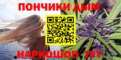сатива Кингисепп